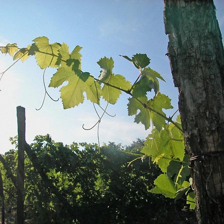 Canonica Di Corteranzo Murisengo Buitenkant foto